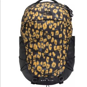 The north face backpack